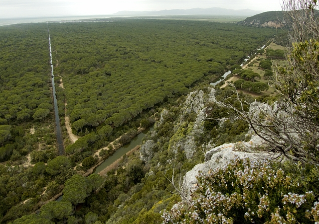 Parco dell''Uccellina - Torre di Collelungo