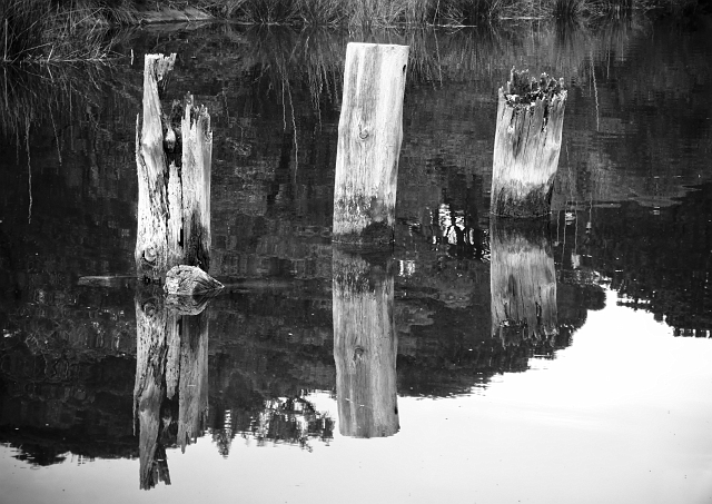 Parco dell''Uccellina - Torre di Collelungo