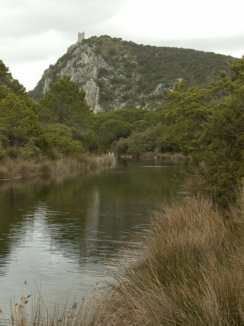 Parco dell''Uccellina - Torre di Collelungo