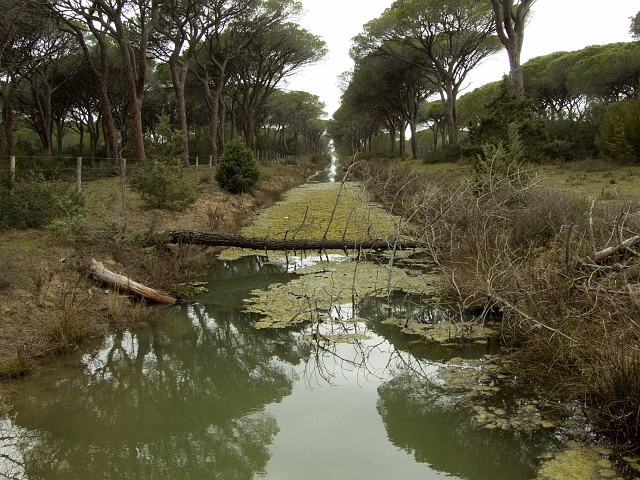 Parco dell''Uccellina - Torre di Collelungo