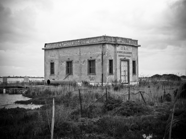 Parco dell''Uccellina - Torre di Collelungo