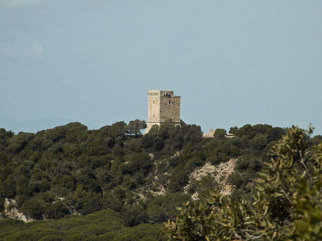 Parco dell''Uccellina - Torre di Collelungo