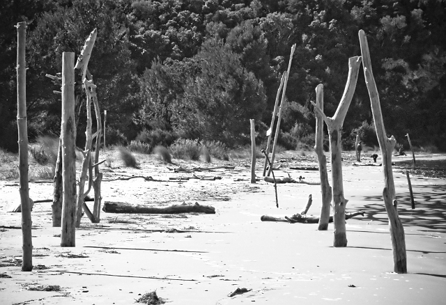 Parco dell''Uccellina - Torre di Collelungo