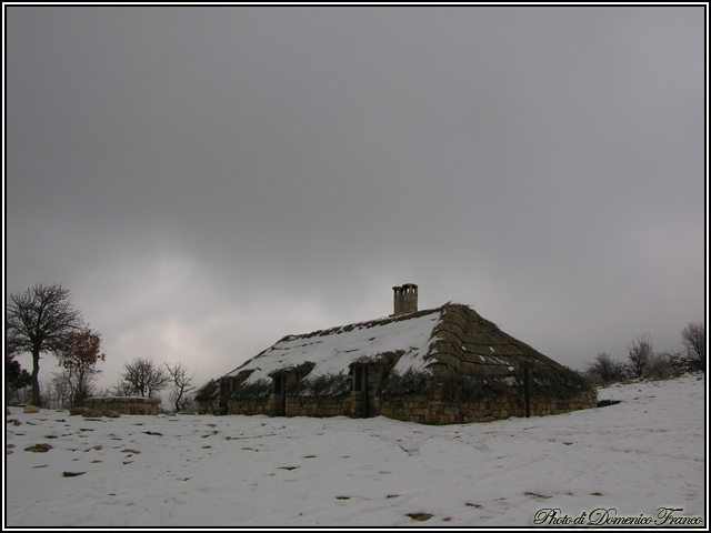 Sentiero degli Agrifogli giganti (Parco delle Madonie)