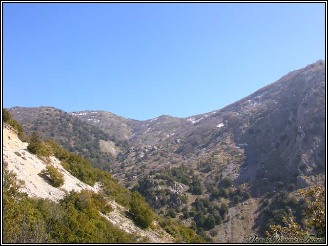 Sentiero degli Abies nebrodensis (Parco delle Madonie)