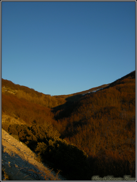 Sentiero degli Abies nebrodensis (Parco delle Madonie)