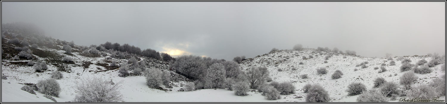 Sentiero degli Agrifogli giganti (Parco delle Madonie)