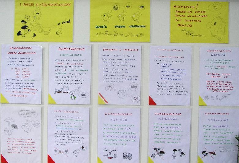 una mostra micologica