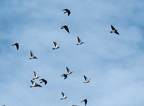Gruppo in partenza
