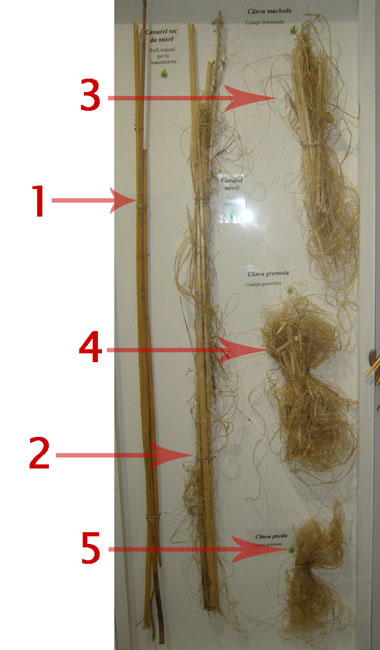 La memoria di una tradizione scomparsa