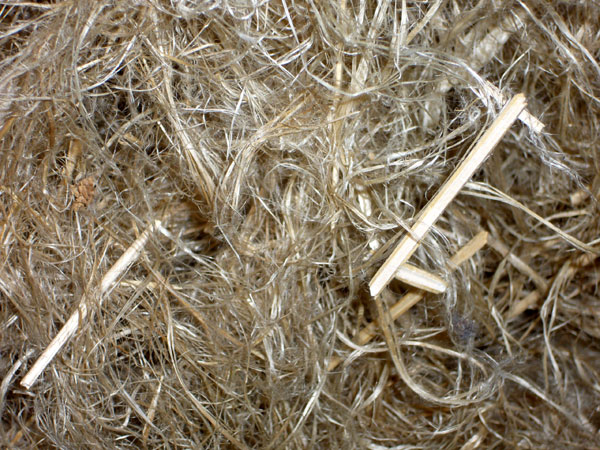 La memoria di una tradizione scomparsa