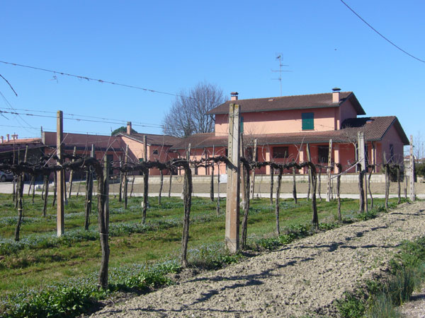 La memoria di una tradizione scomparsa