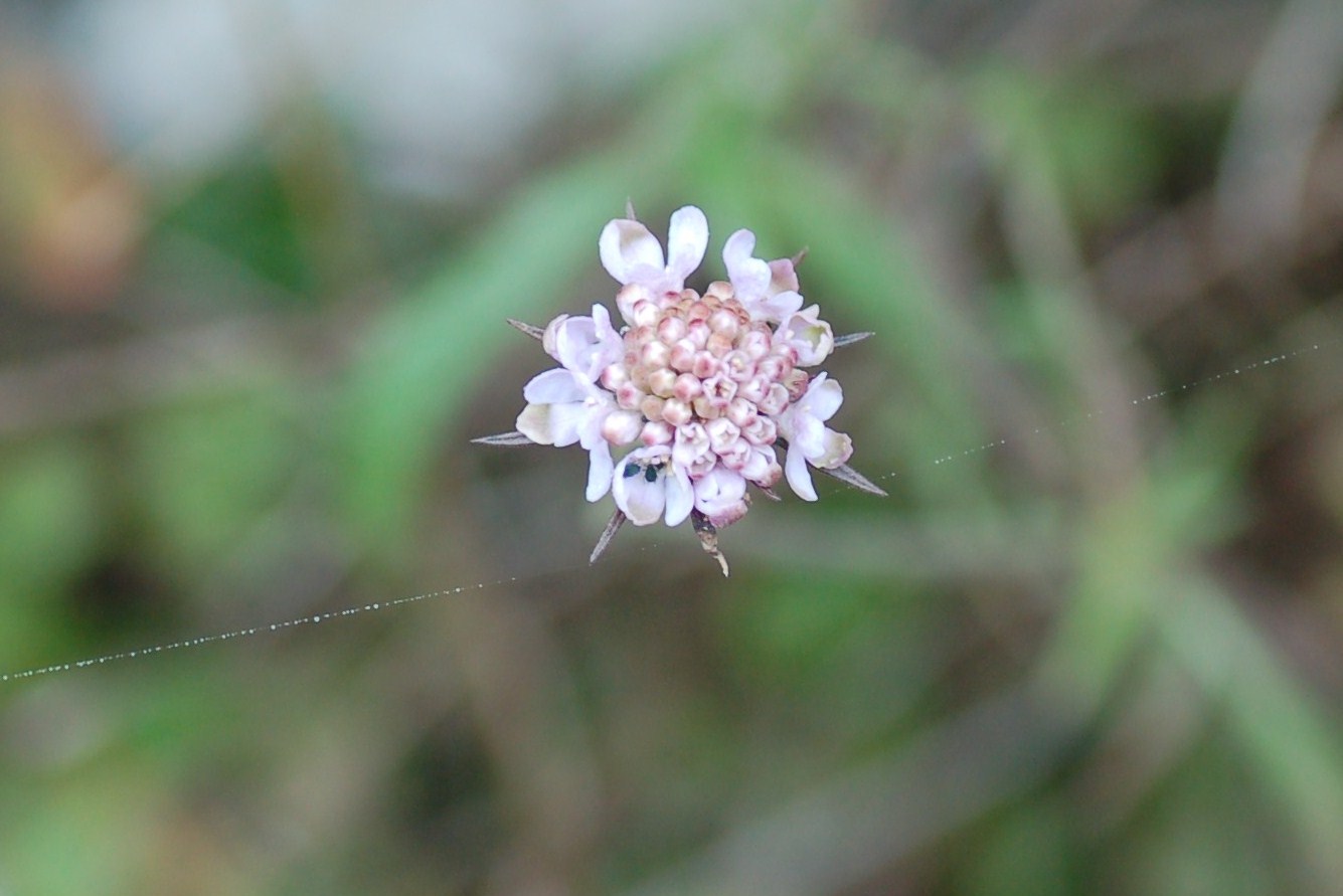 Scatti in libert�.