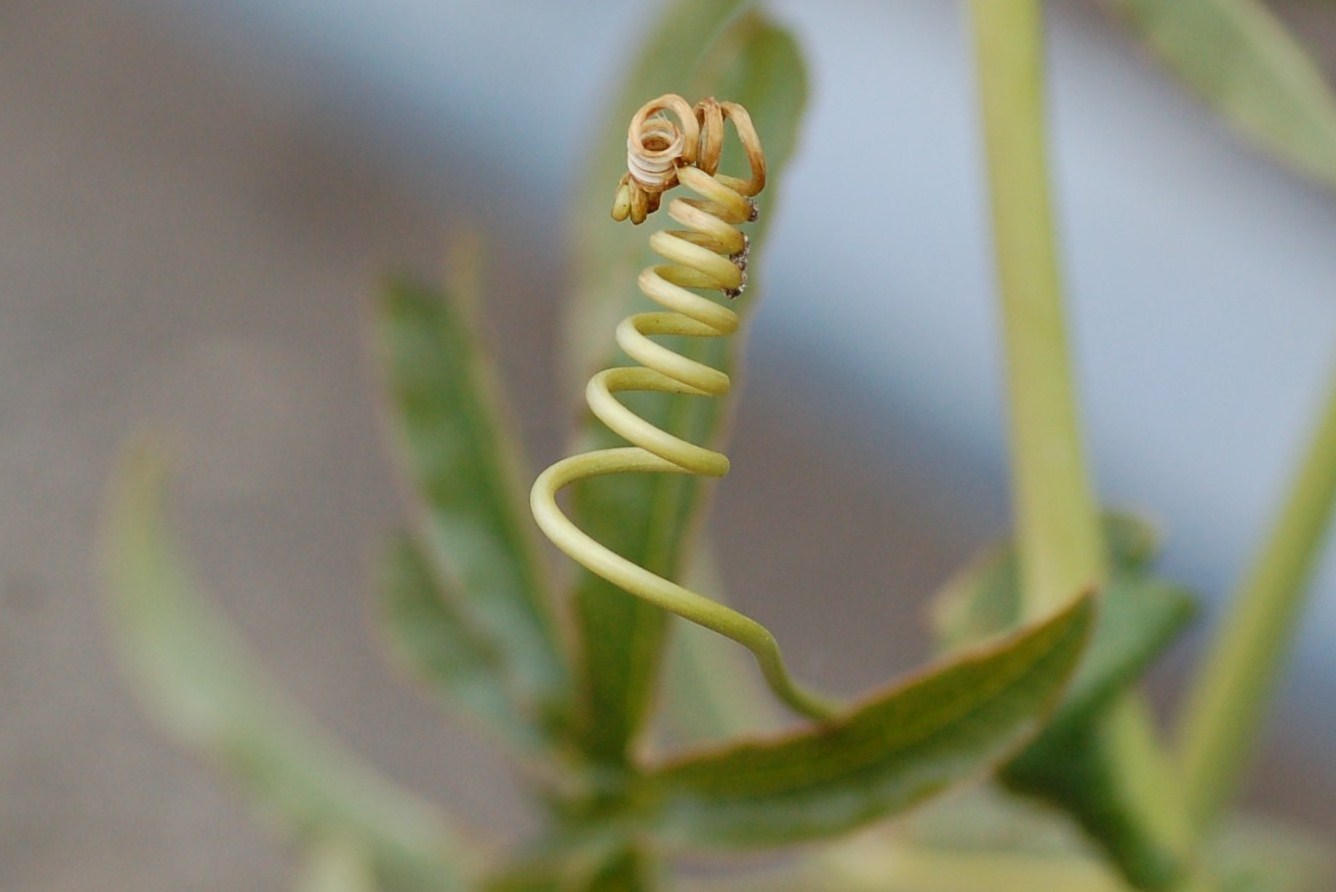 Scatti in libert�.