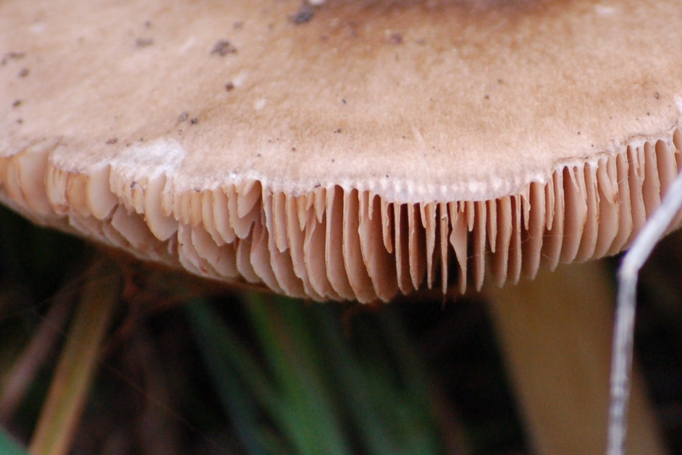 Scatti in libert�.