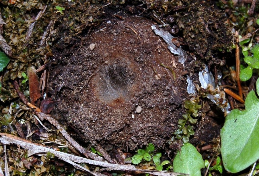 Qualche segno di vita....