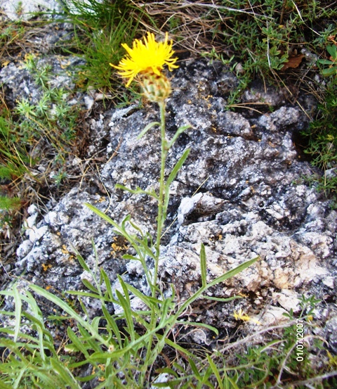 Monte Morrone (Abruzzo)