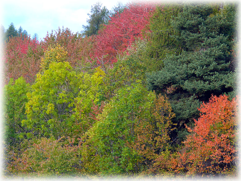 I primi colori d''autunno