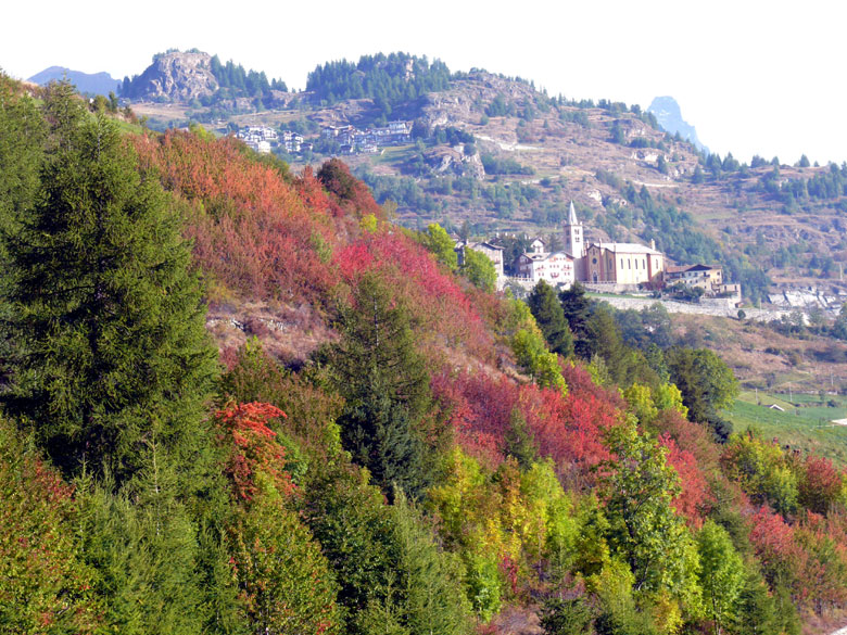I primi colori d''autunno