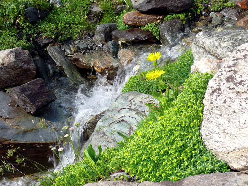 ruscello di montagna