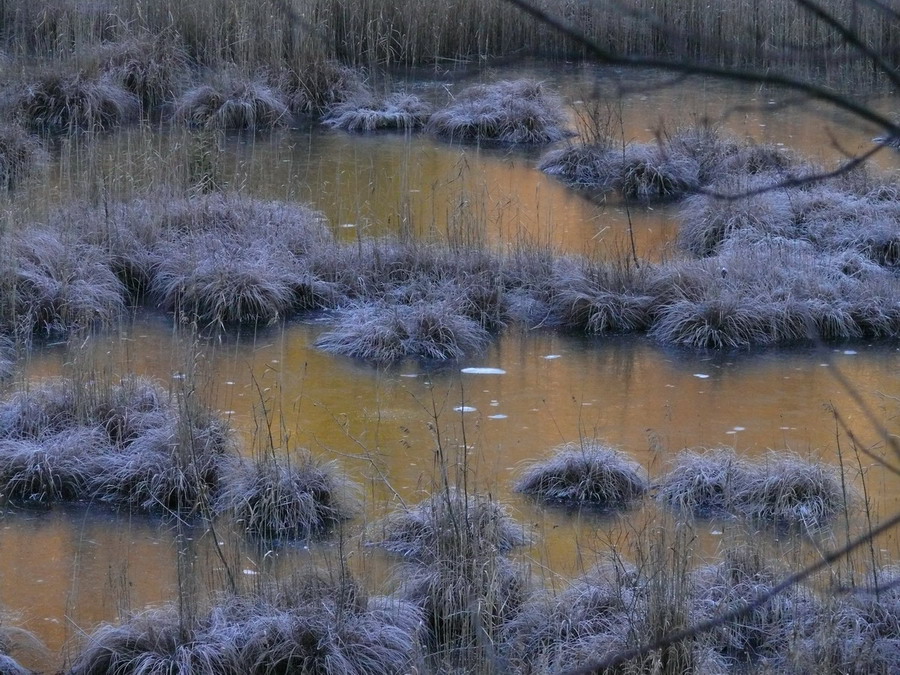 Riflessi