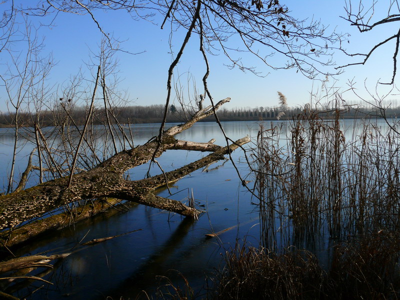 Laghi..... del FRIULI VENEZIA GIULIA