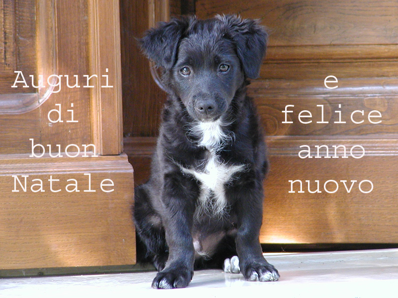 Auguri.