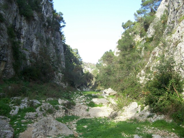 Gravine
