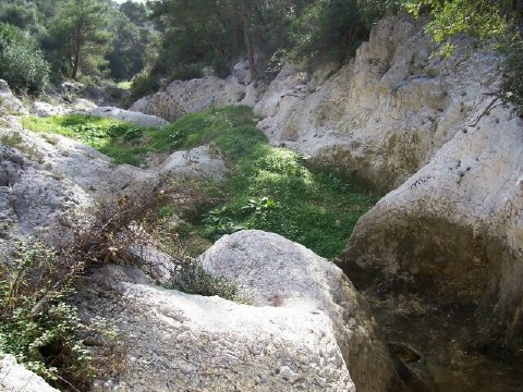 Gravine