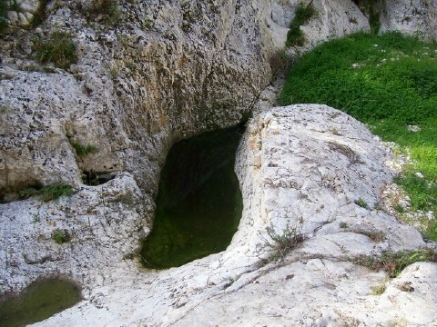 Gravine