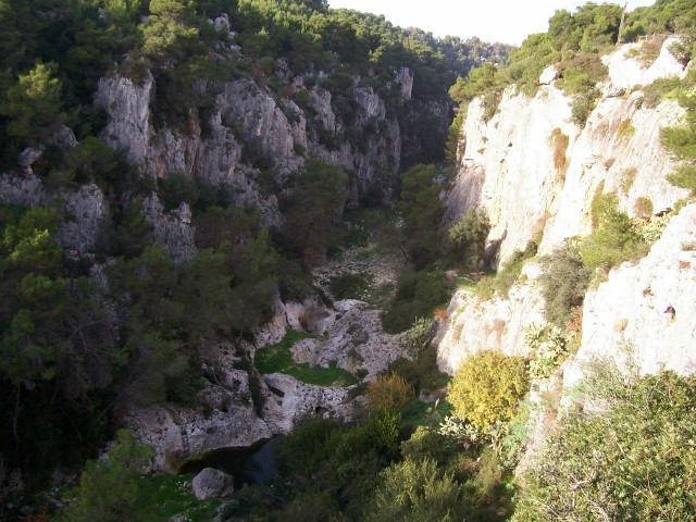 Gravine