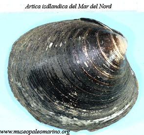 L''animale pi antico del mondo