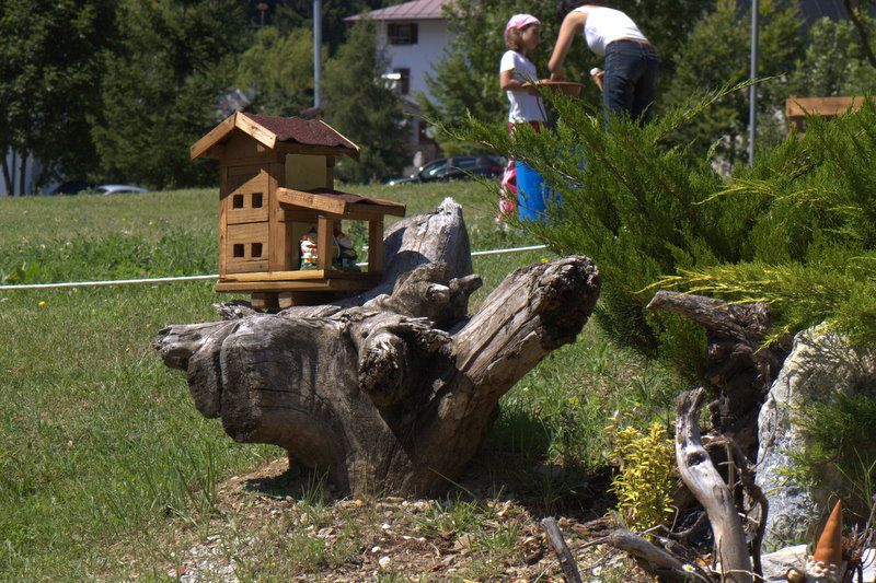 Il villaggio degli Gnomi.