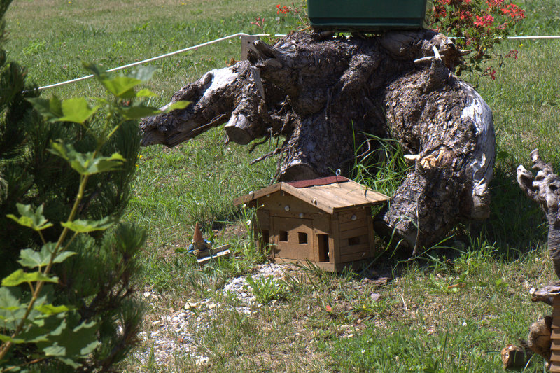 Il villaggio degli Gnomi.