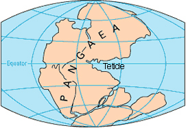 Batimetria mediterranea: 0. La storia geologica