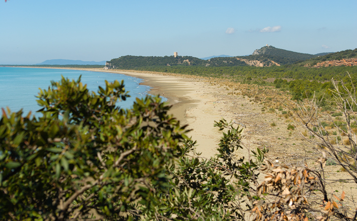 Parco dell''Uccellina - Torre di Collelungo