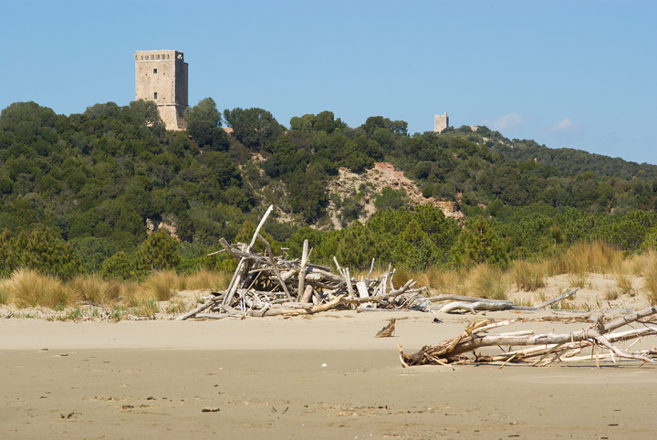 Parco dell''Uccellina - Torre di Collelungo