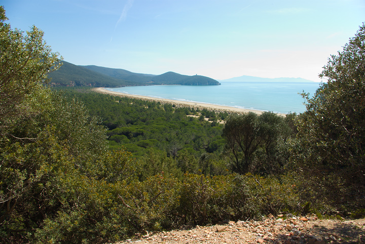 Parco dell''Uccellina - Torre di Collelungo