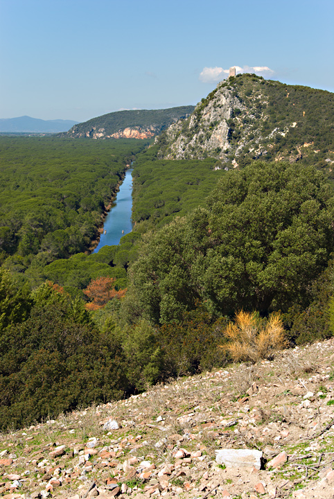 Parco dell''Uccellina - Torre di Collelungo