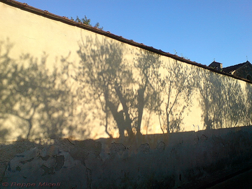 Firenze: lungo il muro di Arcetri