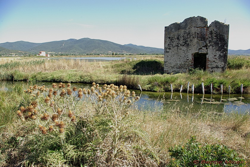 La Diaccia Botrona - Padule di Castiglione della Pescaia