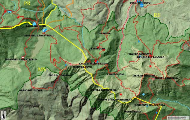 Limax nero del Appennino Parmese e L. ianninii Giusti