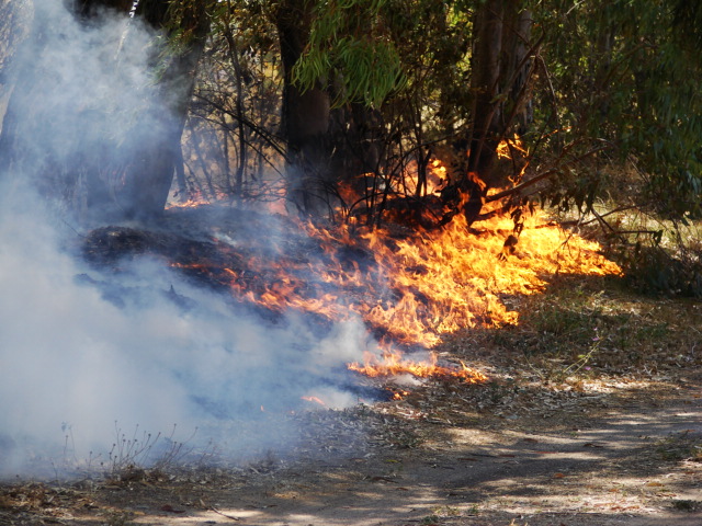 il fuoco (e chi lo ha spento)