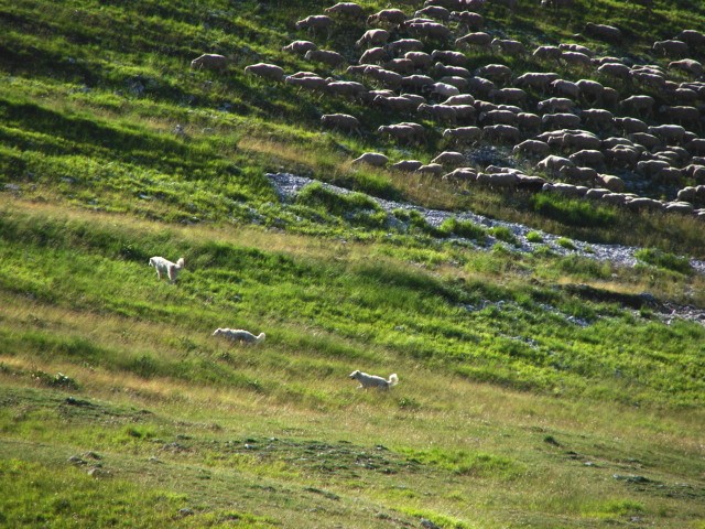 Gran Sasso d''Italia