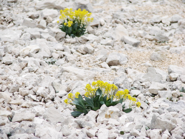 Gran Sasso d''Italia