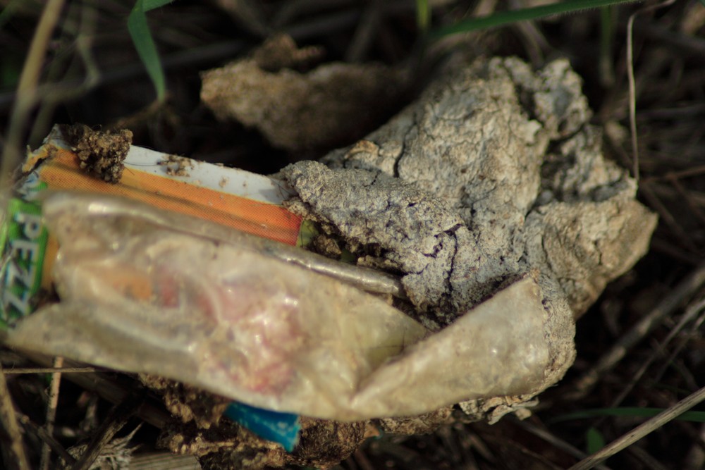 io questa non l''avevo mai vista