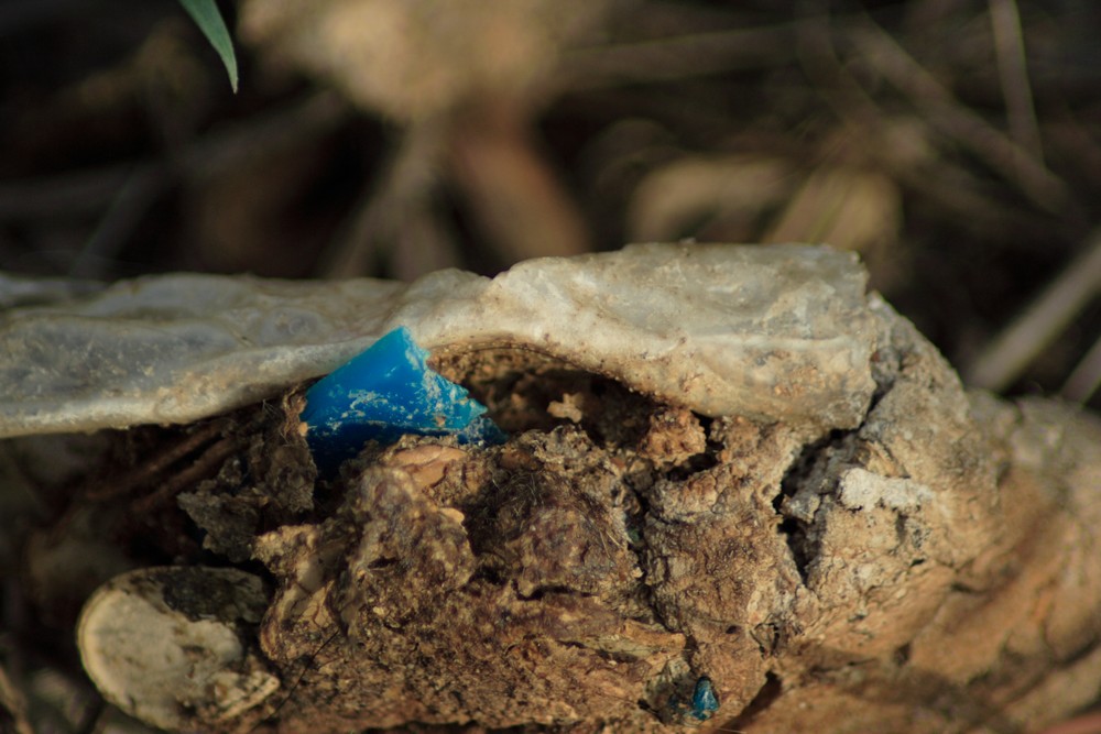 io questa non l''avevo mai vista