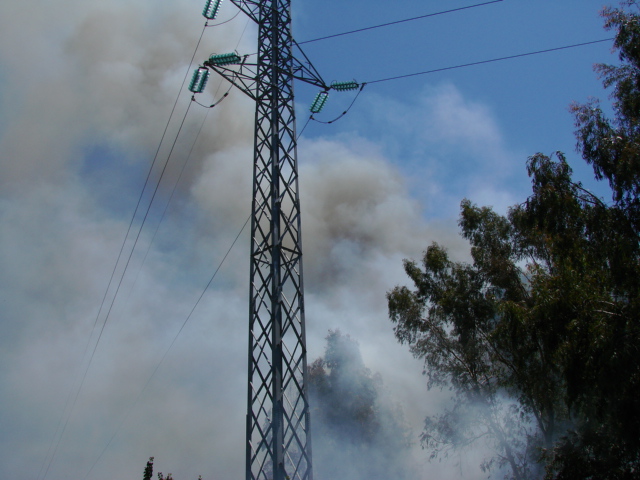 il fuoco (e chi lo ha spento)