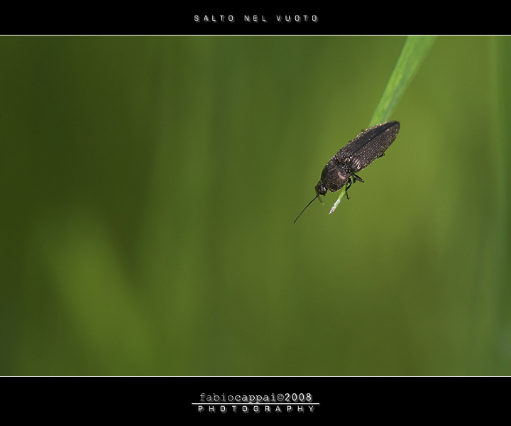 :: SALTO NEL VUOTO... (help idenficazione)