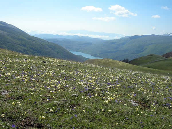 La Montagnola  (1939 m) - Villetta Barrea (Aq)